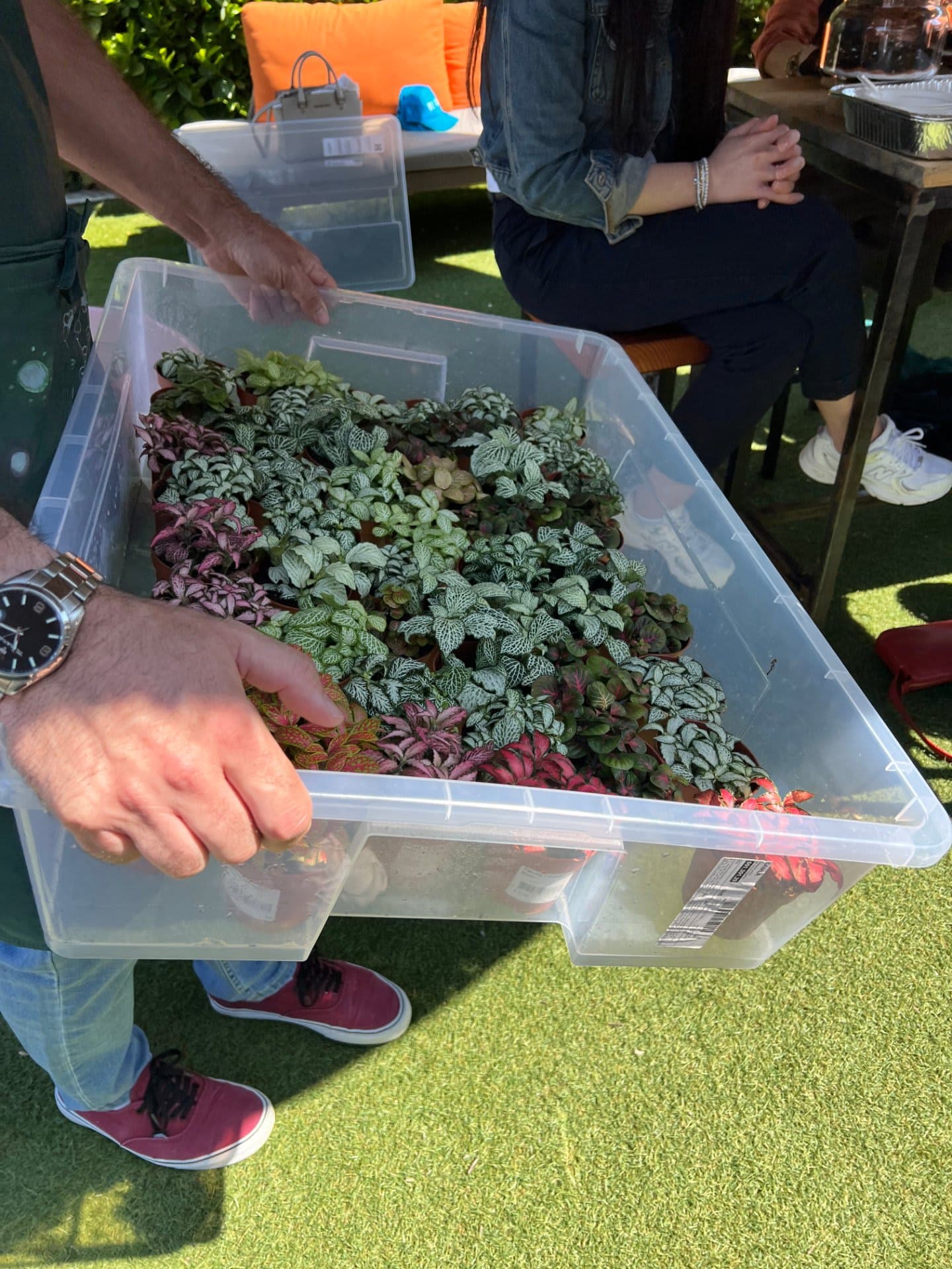 Terrarium Workshop & Brunch Be Kind — foto 5